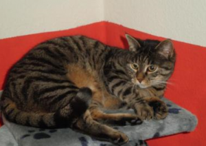 10430824_832078713516441_9093055169616740573_n